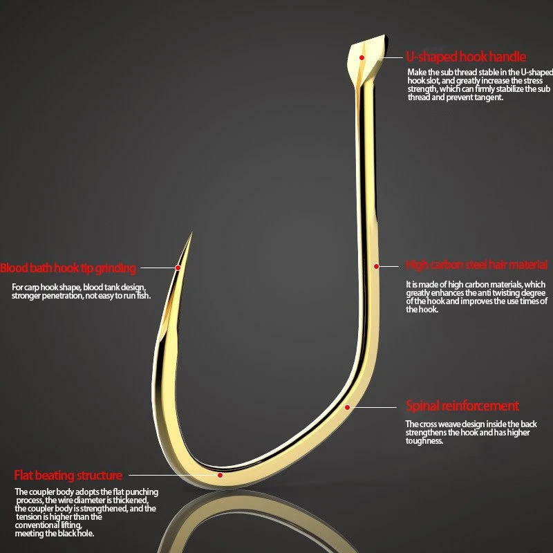 carp fishing hook